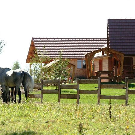 Le Hameau Des Grilles Villa Saint-Fargeau  Kültér fotó