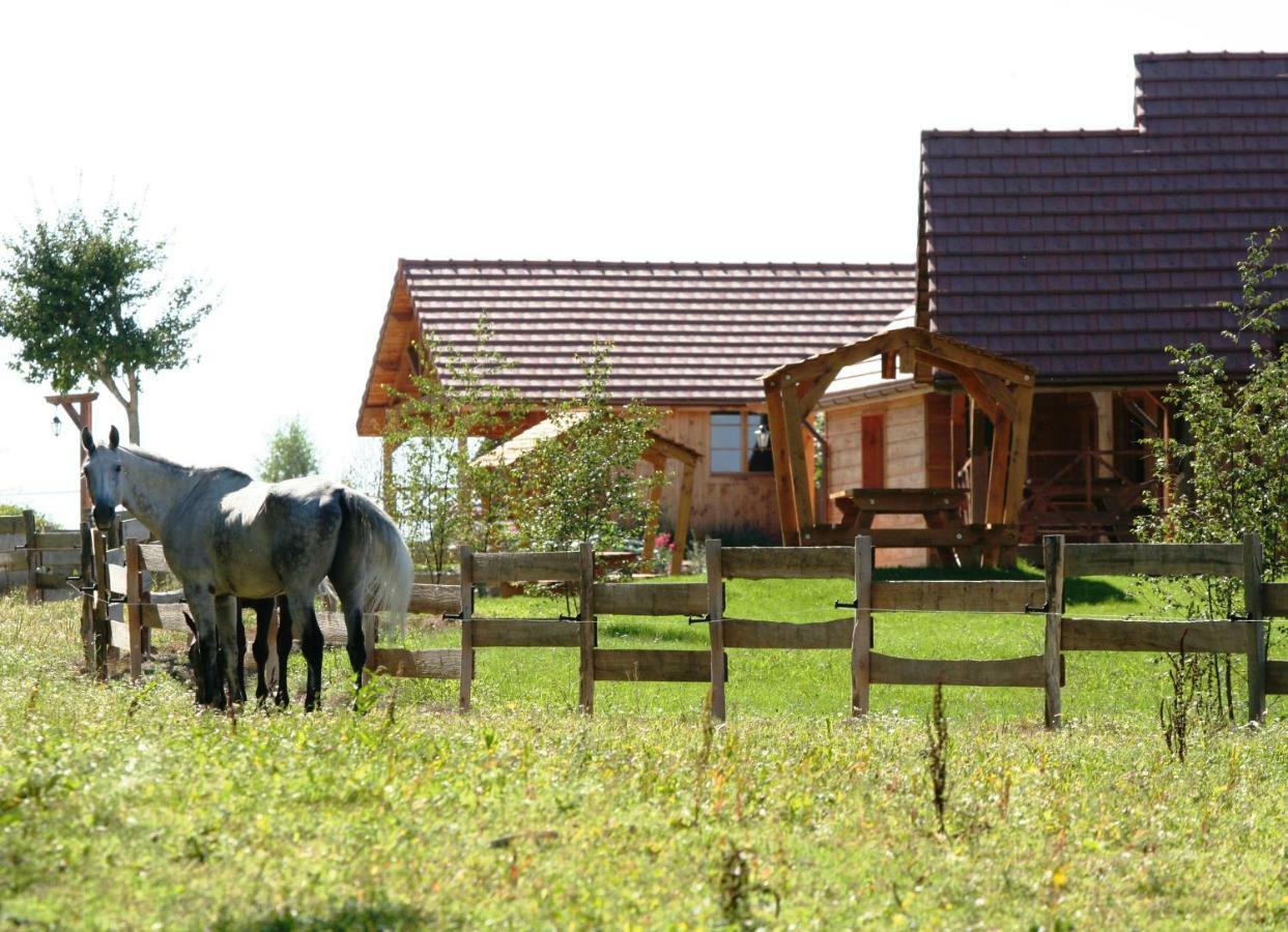 Le Hameau Des Grilles Villa Saint-Fargeau  Kültér fotó